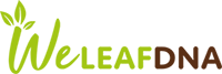 WeleafDNA